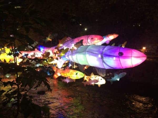 Fish-shaped lanterns hang delicately from the water