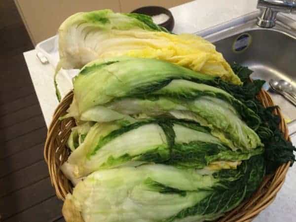 A full basket of green cabbage resting on a countertop