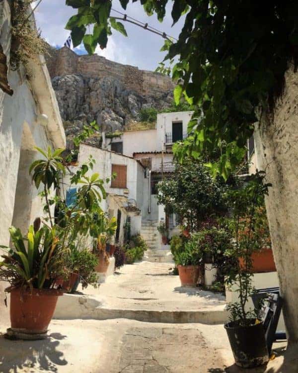 A narrow alley adorned with potted plants