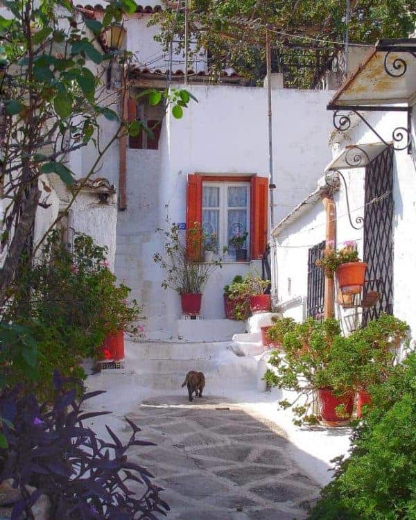 A charming white house featuring red shutters and vibrant potted plants adorning the entrance