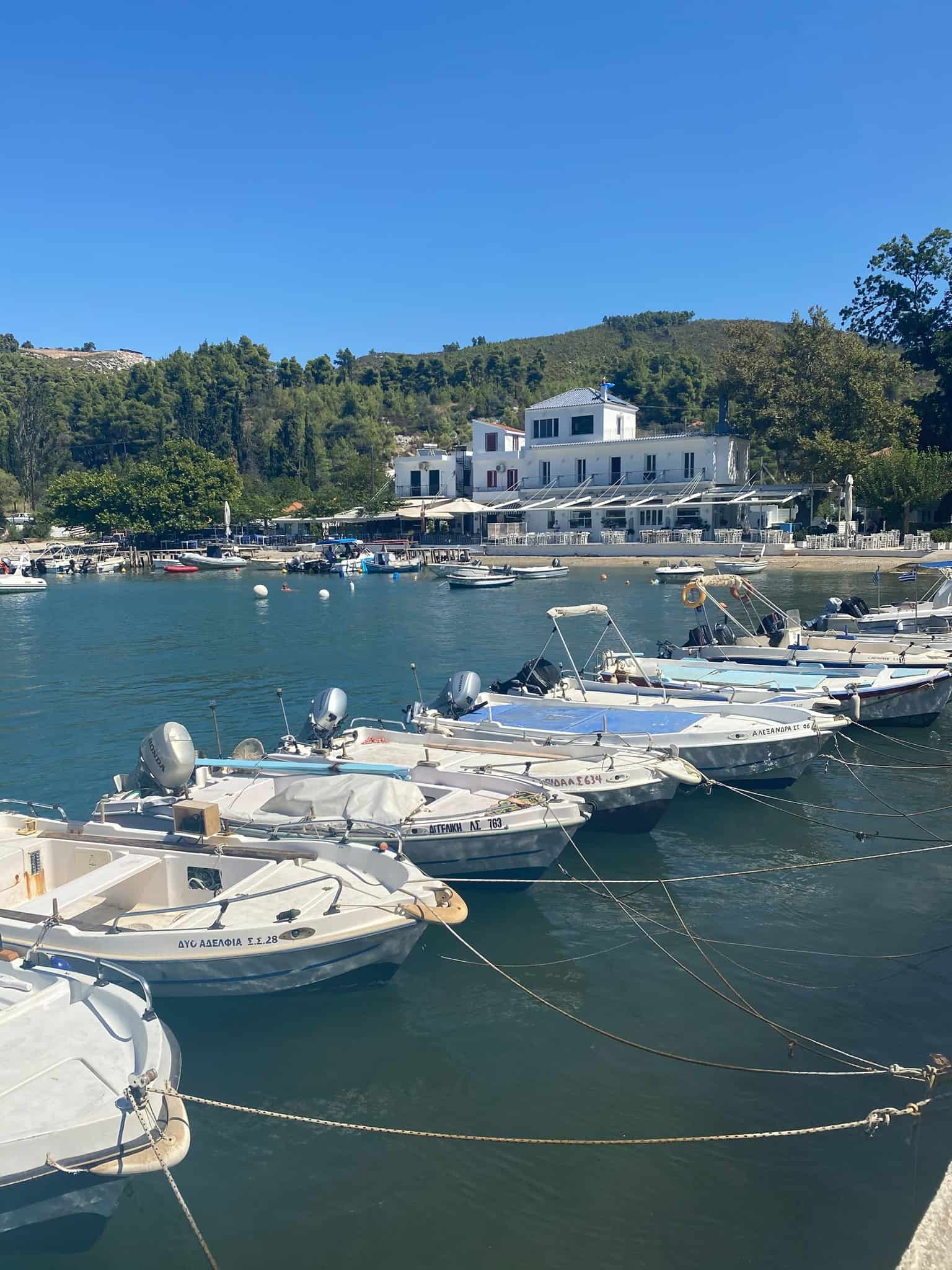 Several boat rest at the dock