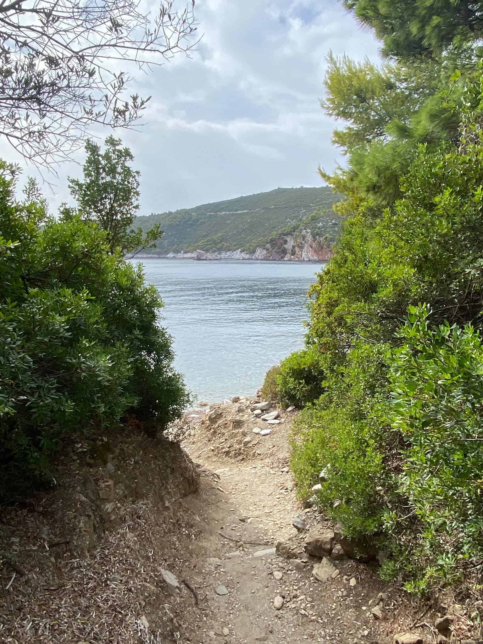 Stafylos Velanio woodland path