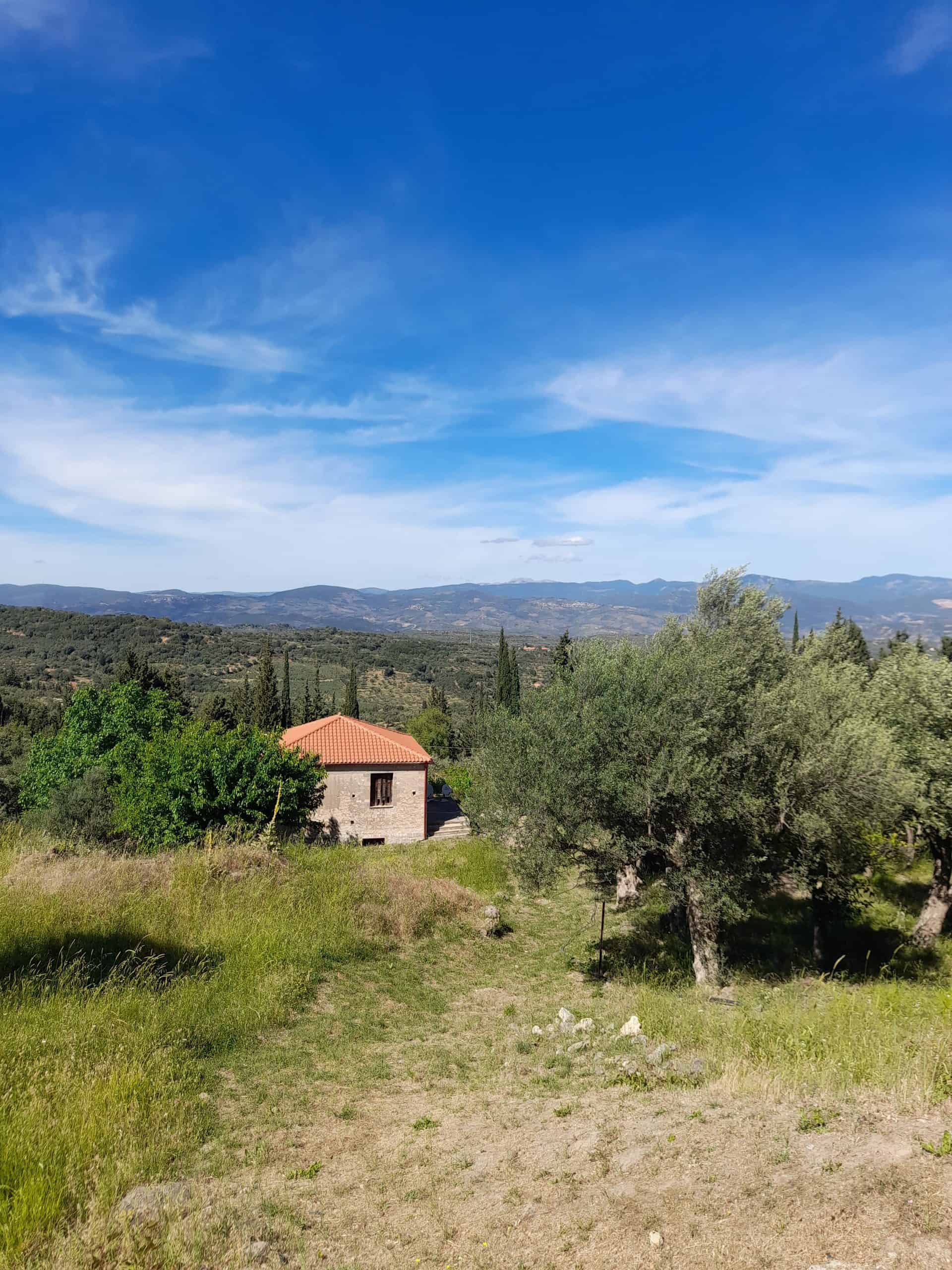 A quaint small house surrounded by a vast green field under a clear blue sky