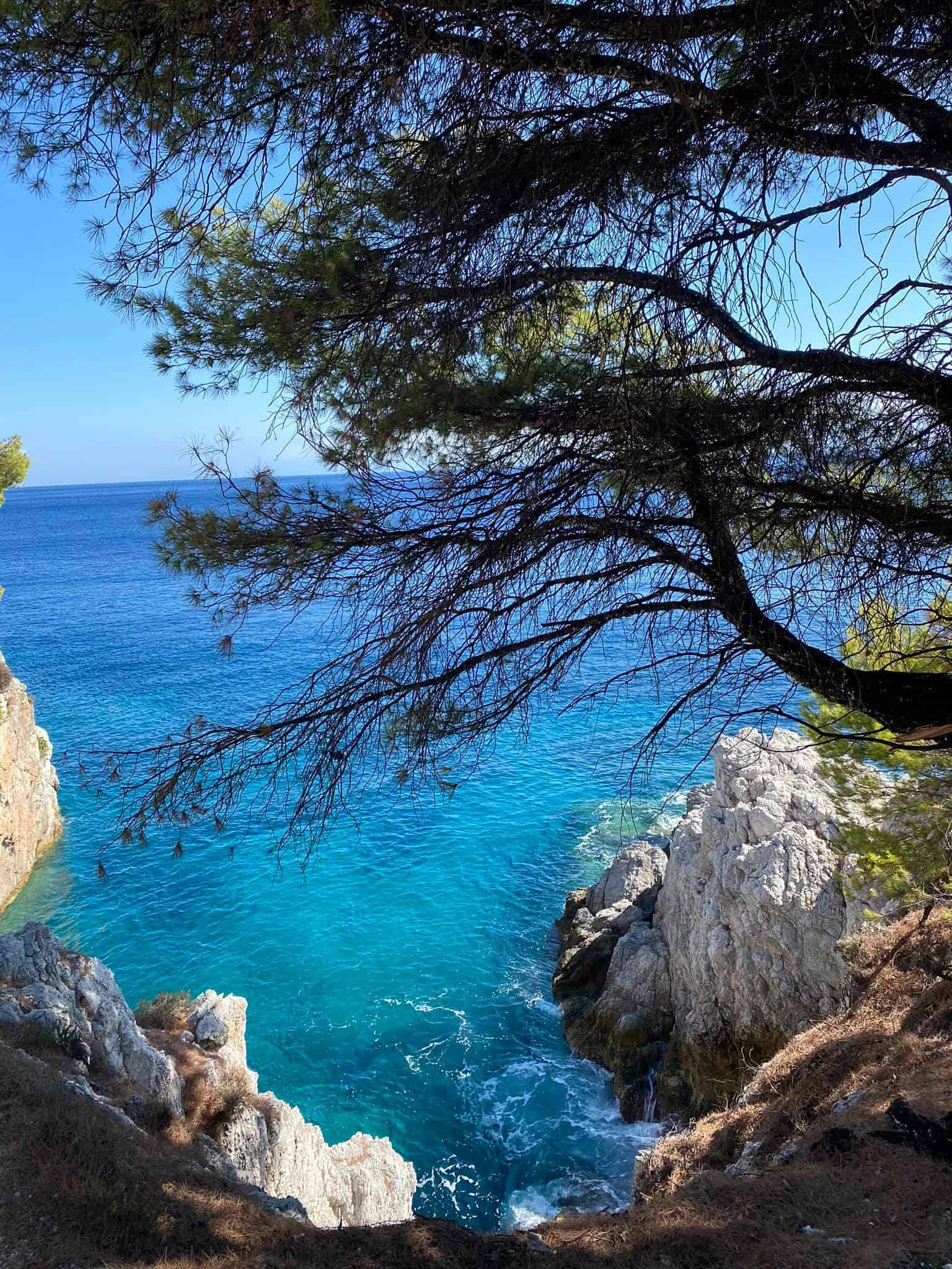 Panoramic view from the cliff