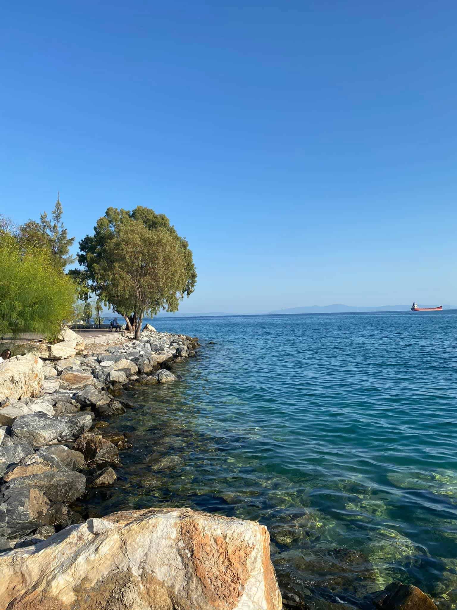 A picturesque rocky coastline with a tree nearby and a boat drifting in the serene waters