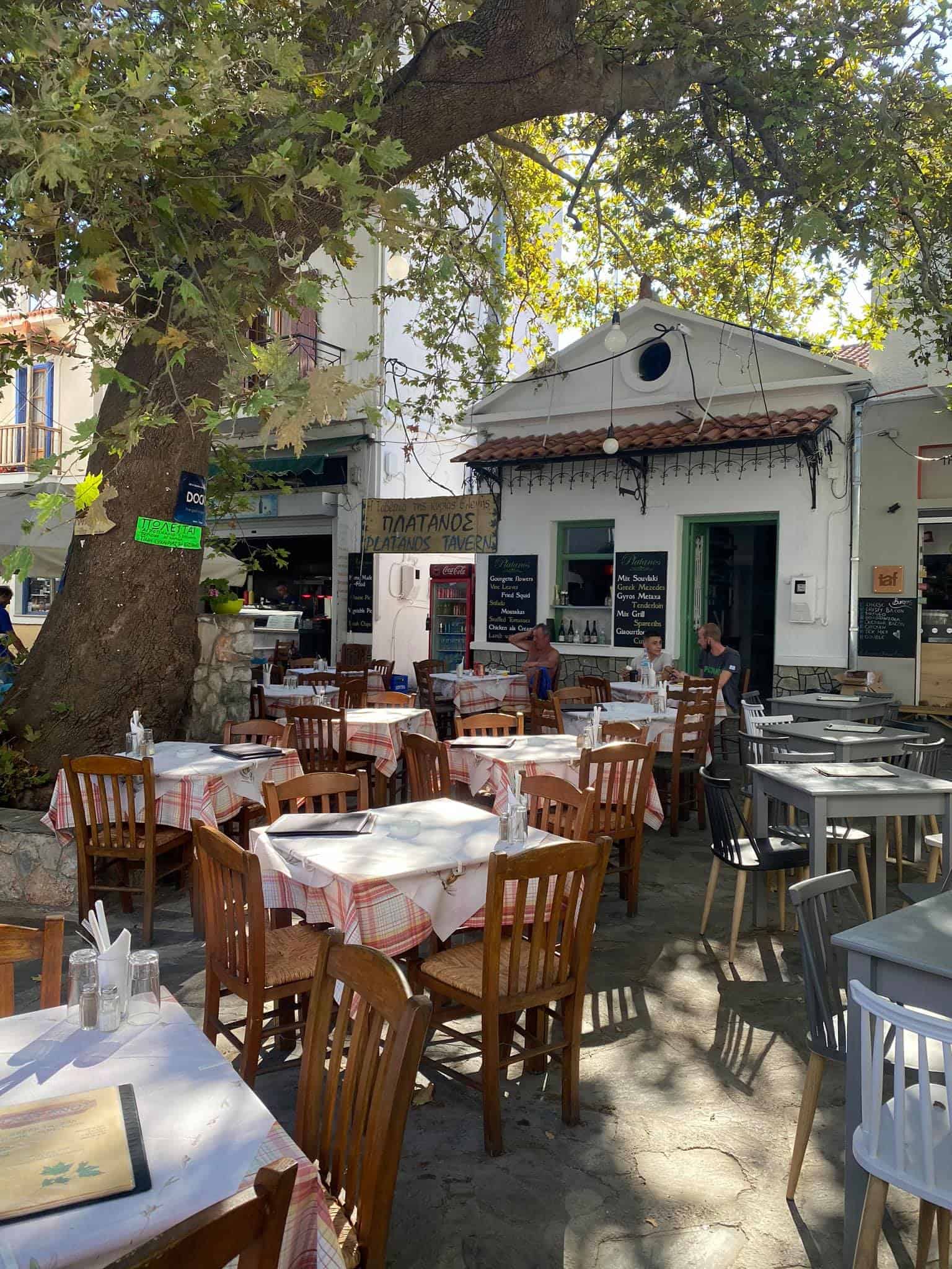 A cozy restaurant featuring tables and chairs arranged beneath a large, leafy tree