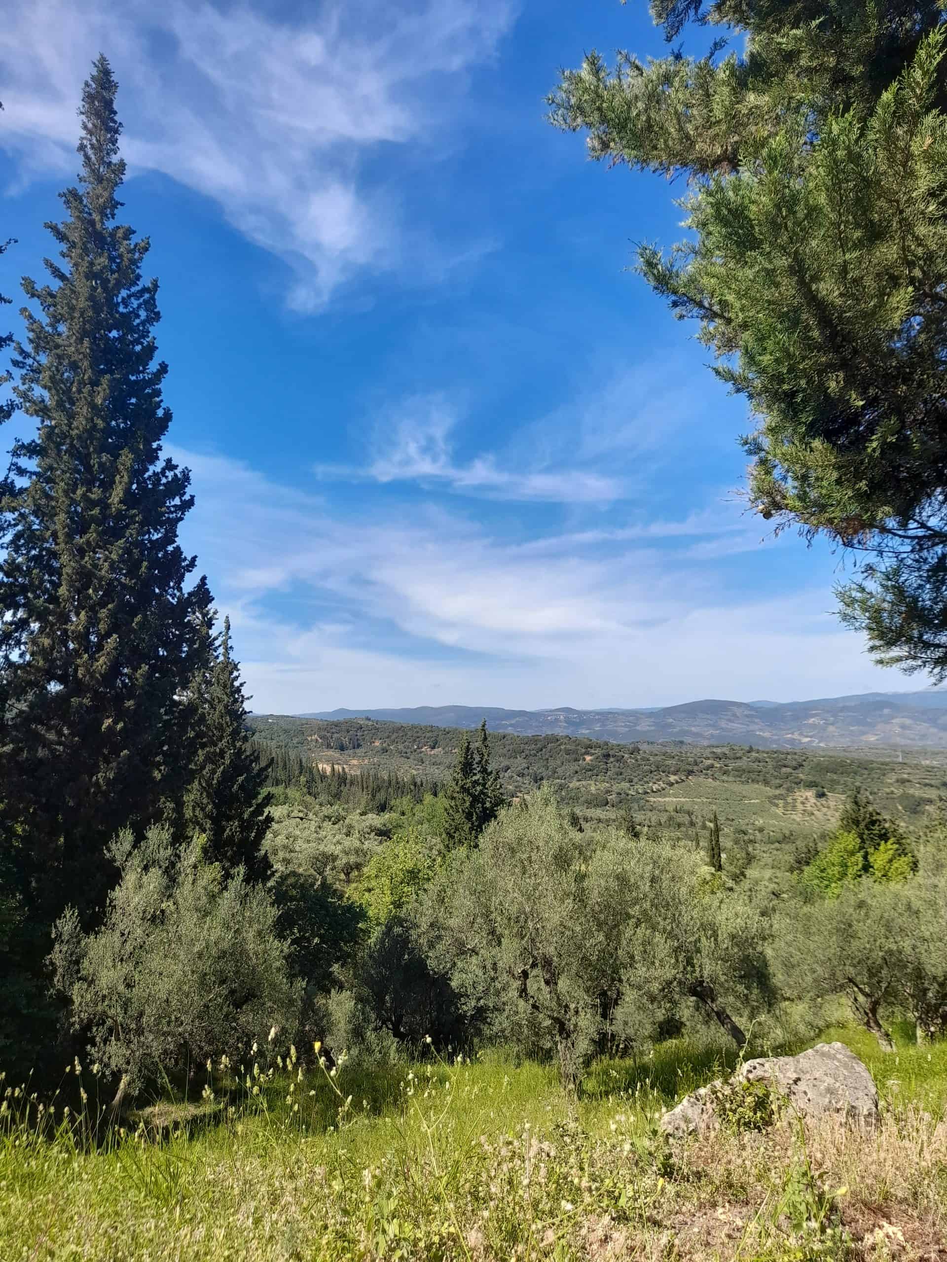 Scenic countryside vista from a hilltop