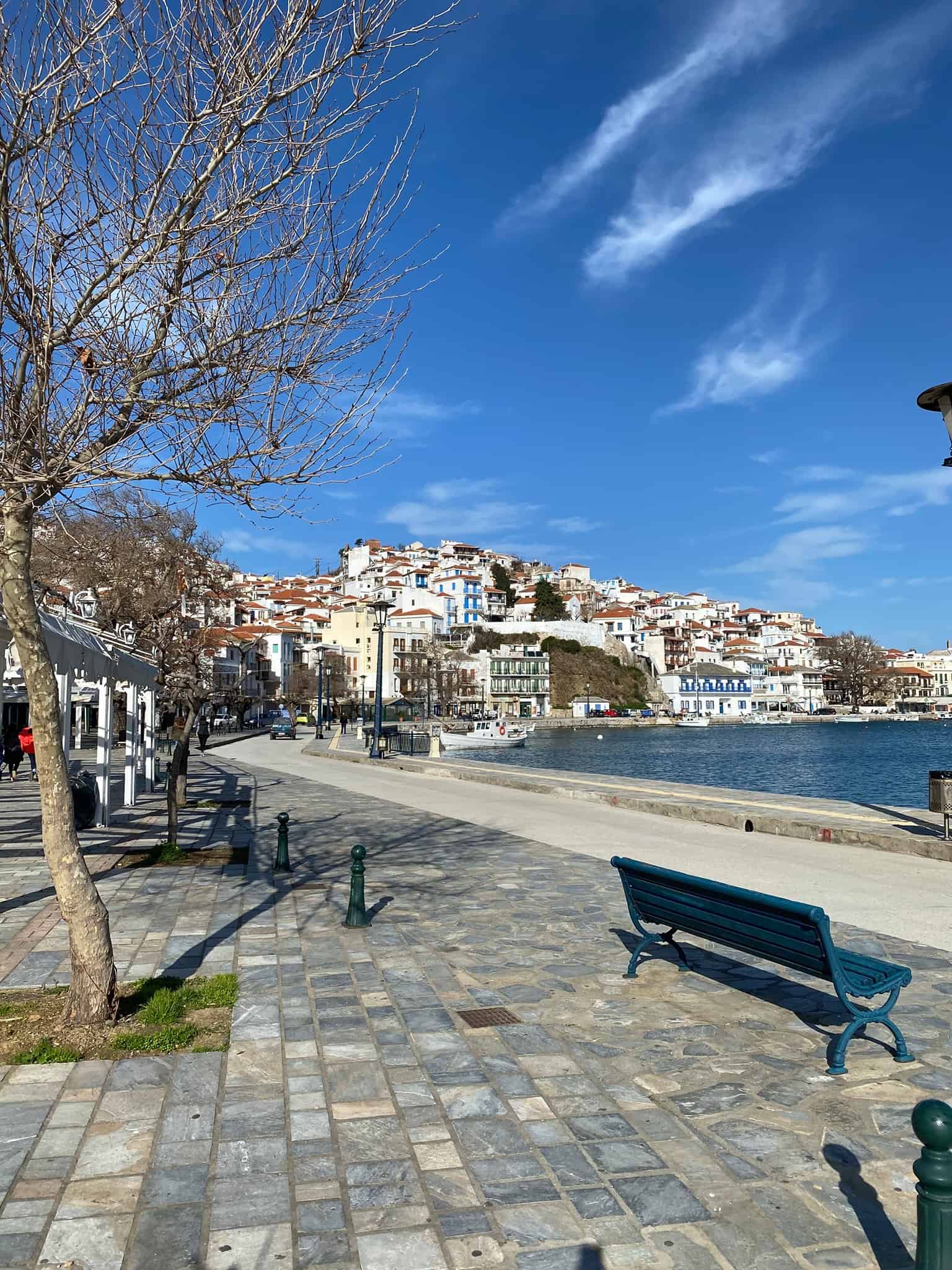 A solitary bench positioned along the edge of a quiet street, inviting passersby to take a moment of rest