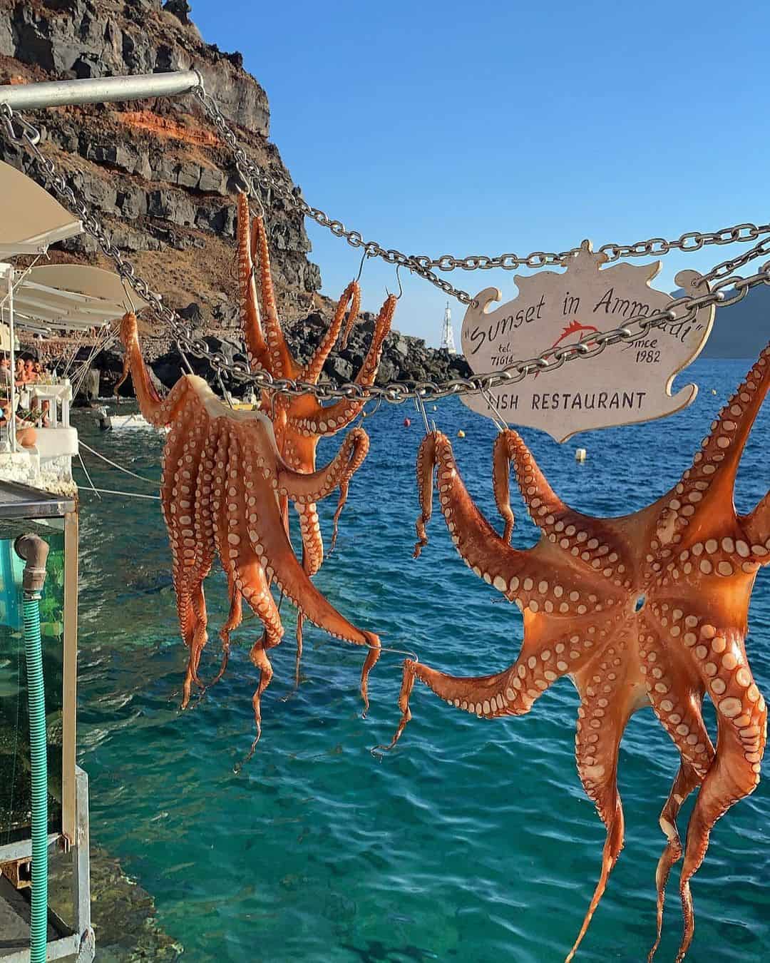 An octopus is perched on a boat, with the beautiful backdrop of Santorini's landscape