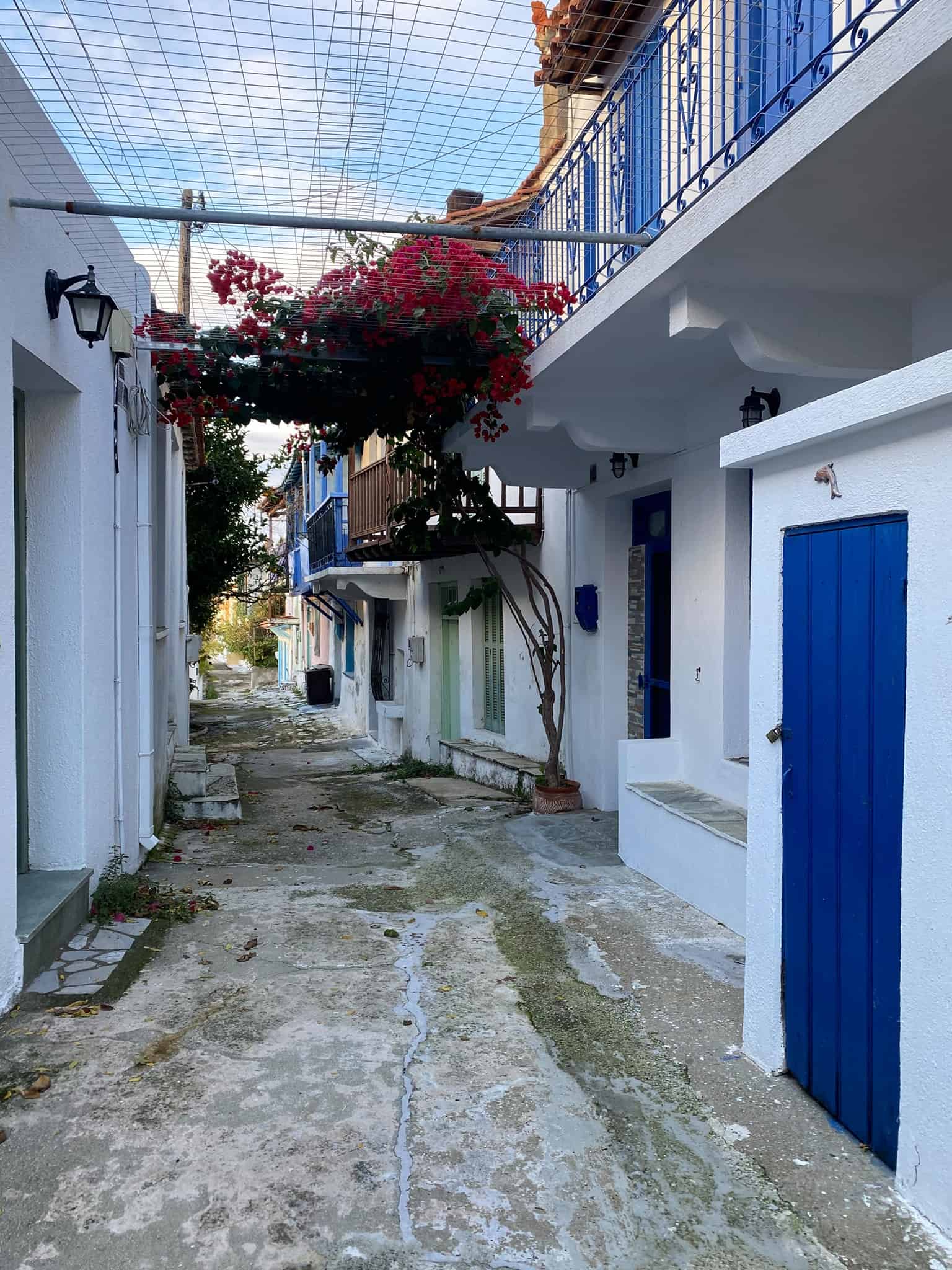 A narrow street featuring charming blue doors set against pristine white walls