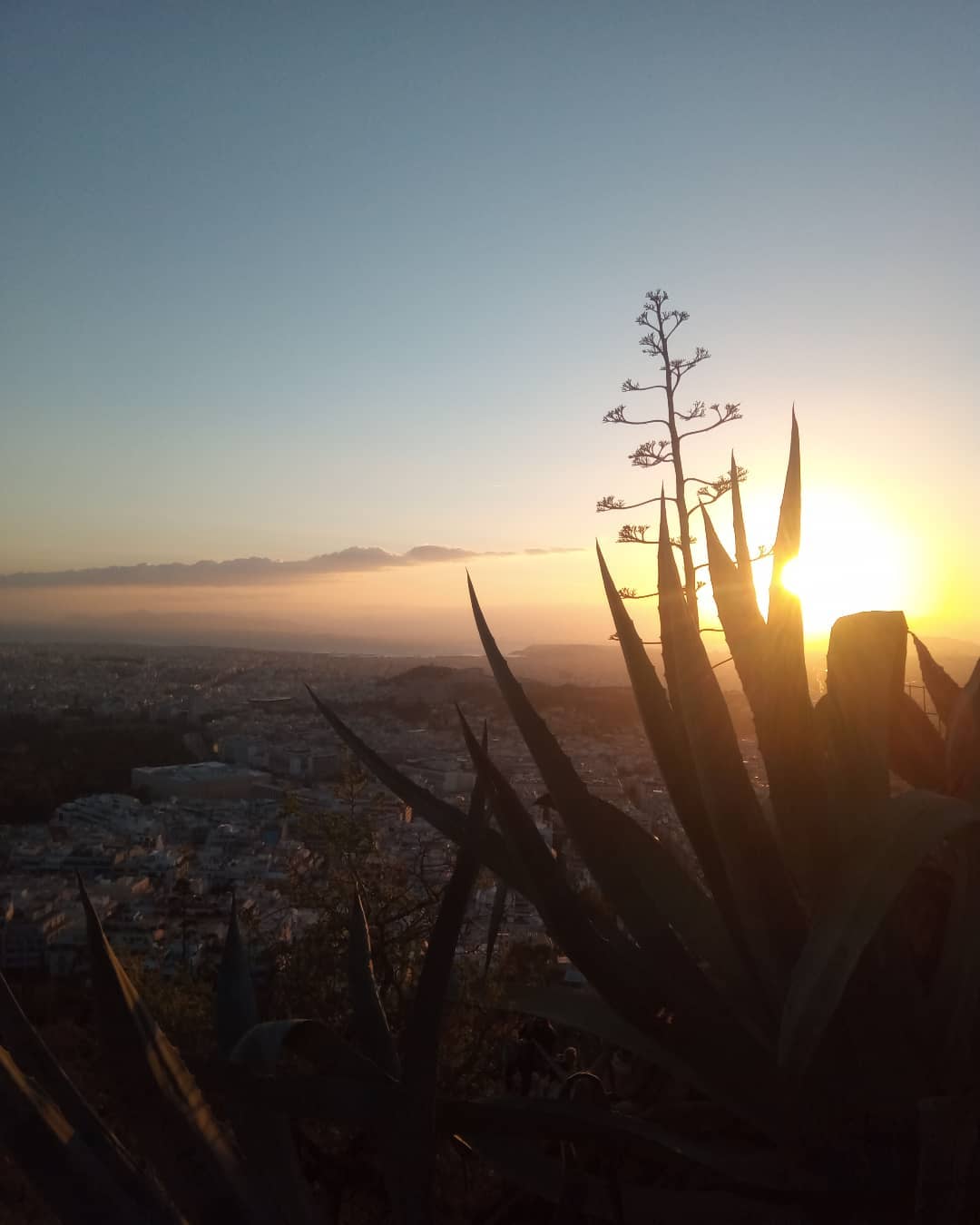 A picturesque sunset casts vibrant hues over the cityscape of Tenerife