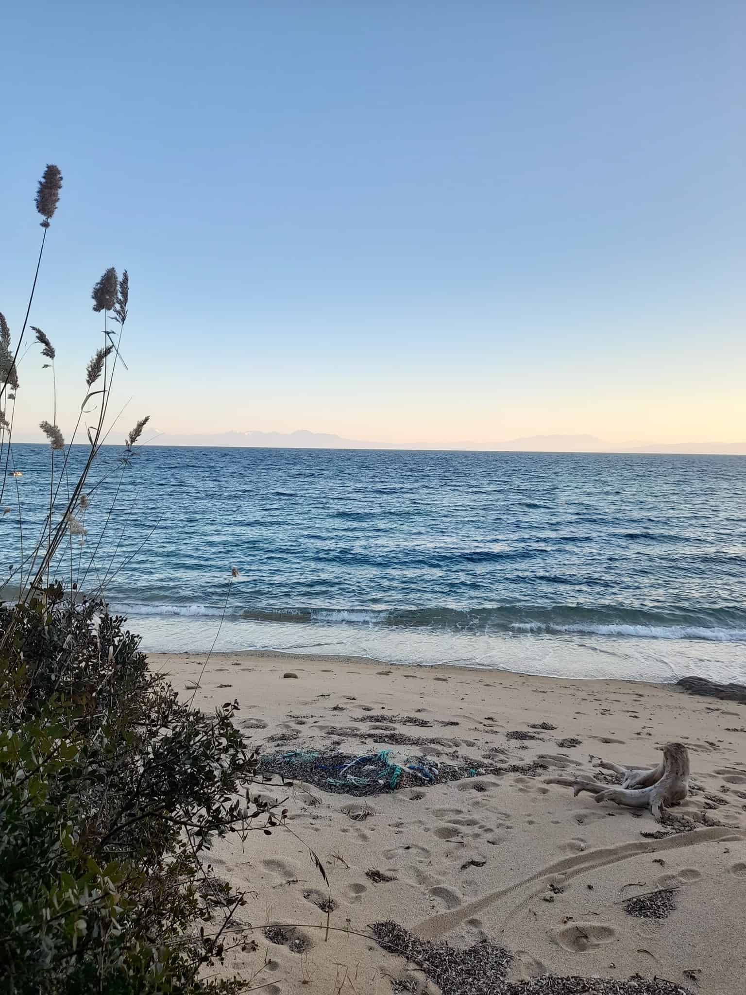 A serene beach scene featuring a blend of grass and sand along the shoreline