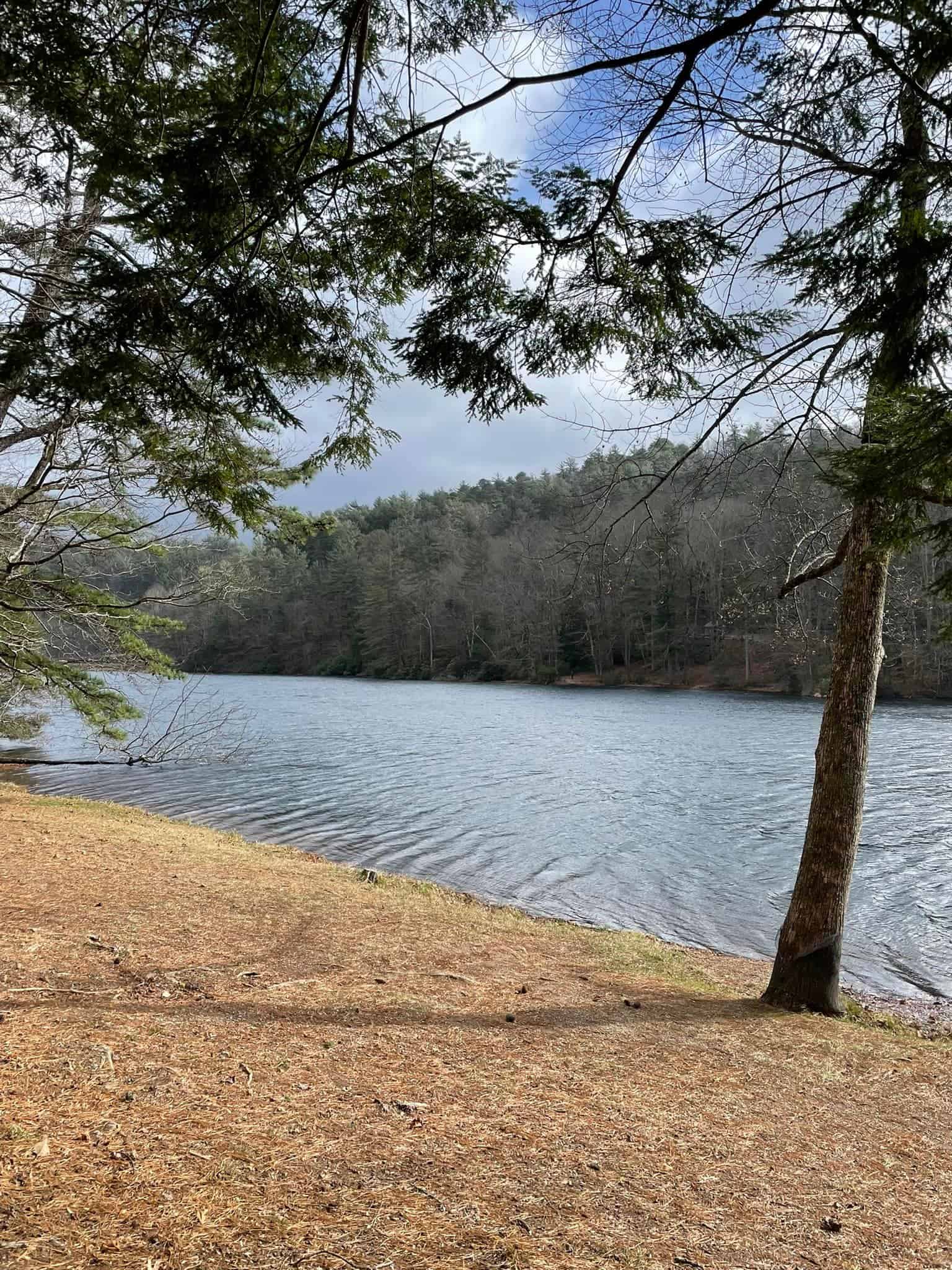 A serene lake bordered by lush trees and green grass