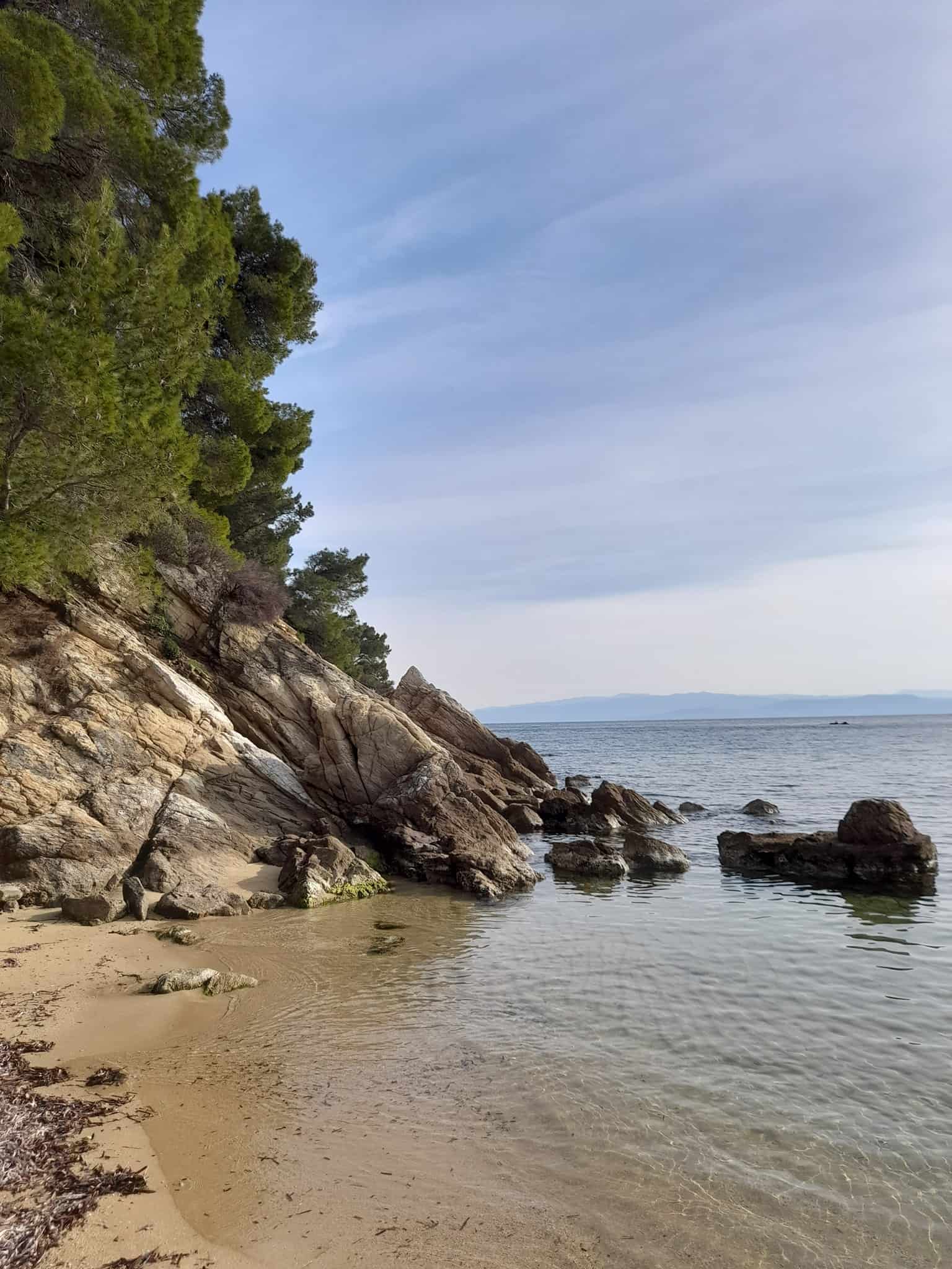 A scenic beach featuring rocks and trees lining the shore