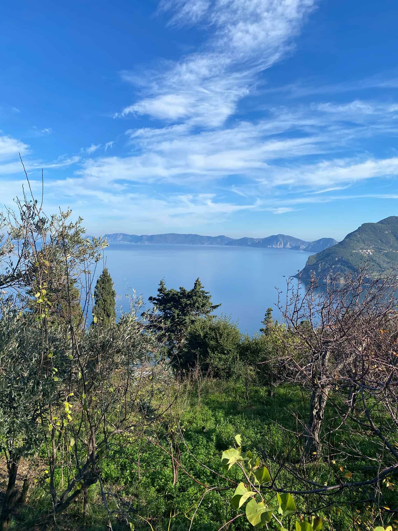 Scenic vista from the cliff