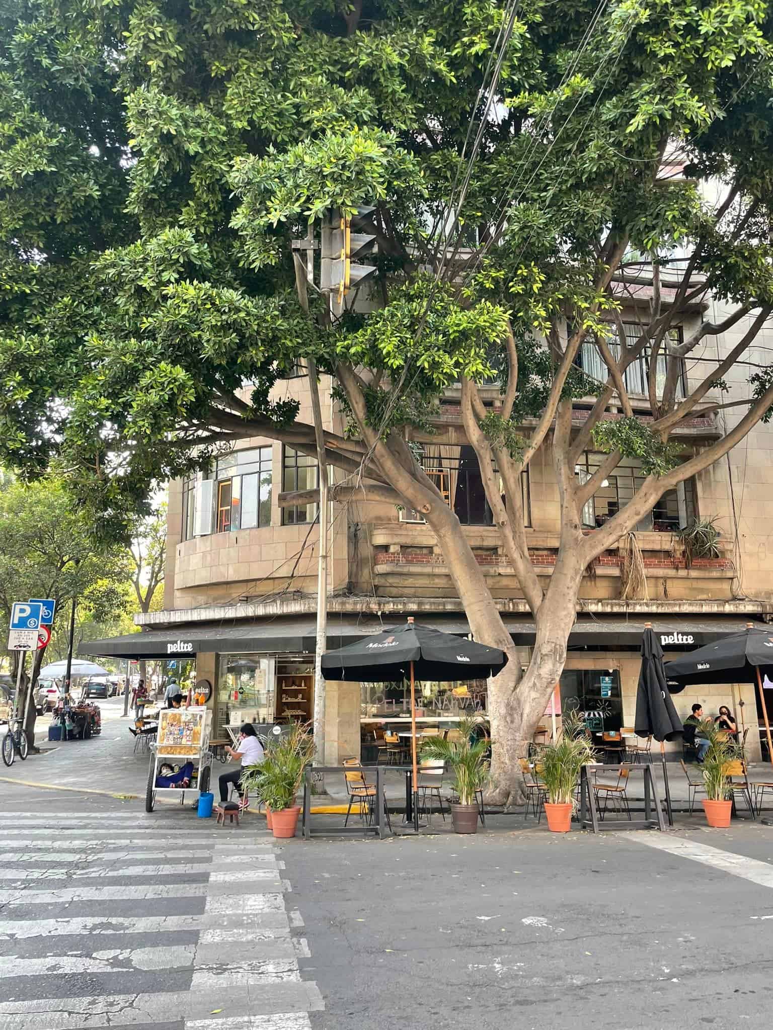 In the heart of a street, a tree rises, accompanied by a quaint cafe, offering a peaceful contrast to the bustling surroundings