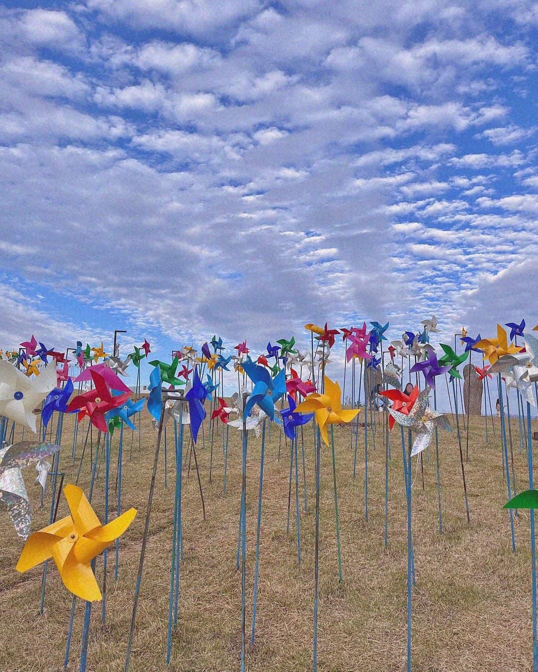 A vibrant field filled with colorful pinwheels spinning gently in the breeze under a clear blue sky