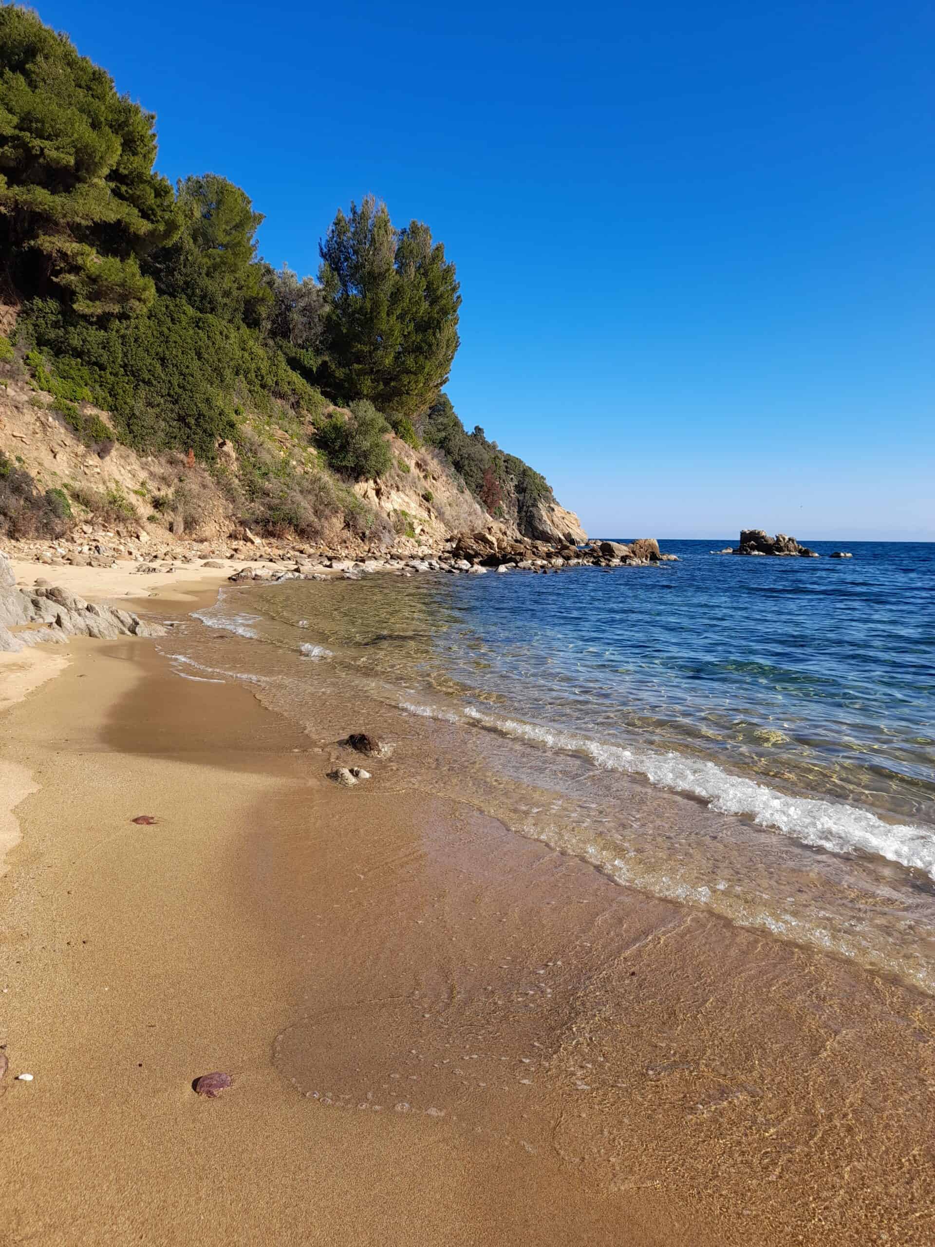 A serene sandy beach with gentle waves lapping at the shore