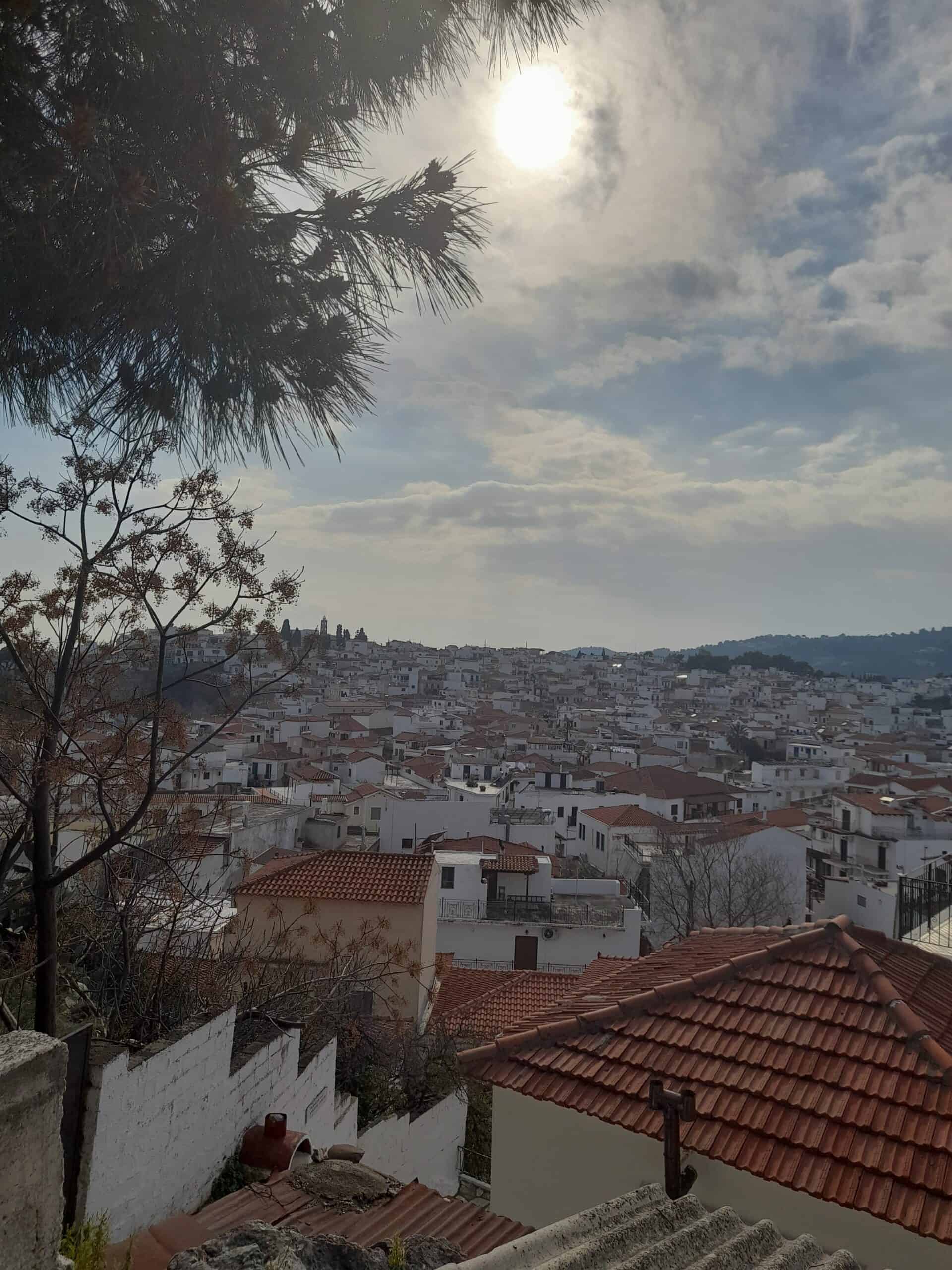 A panoramic view of the city skyline from a hilltop