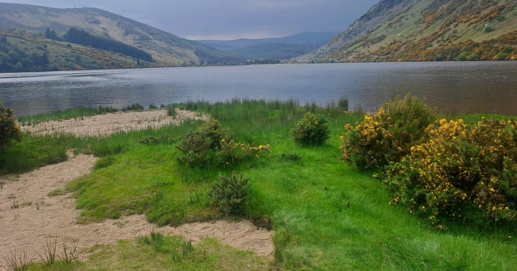 County Wicklow