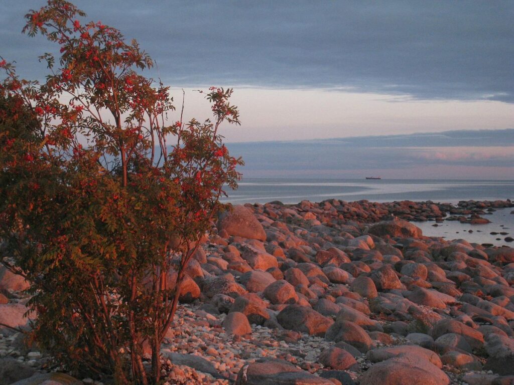 Kihnu Island