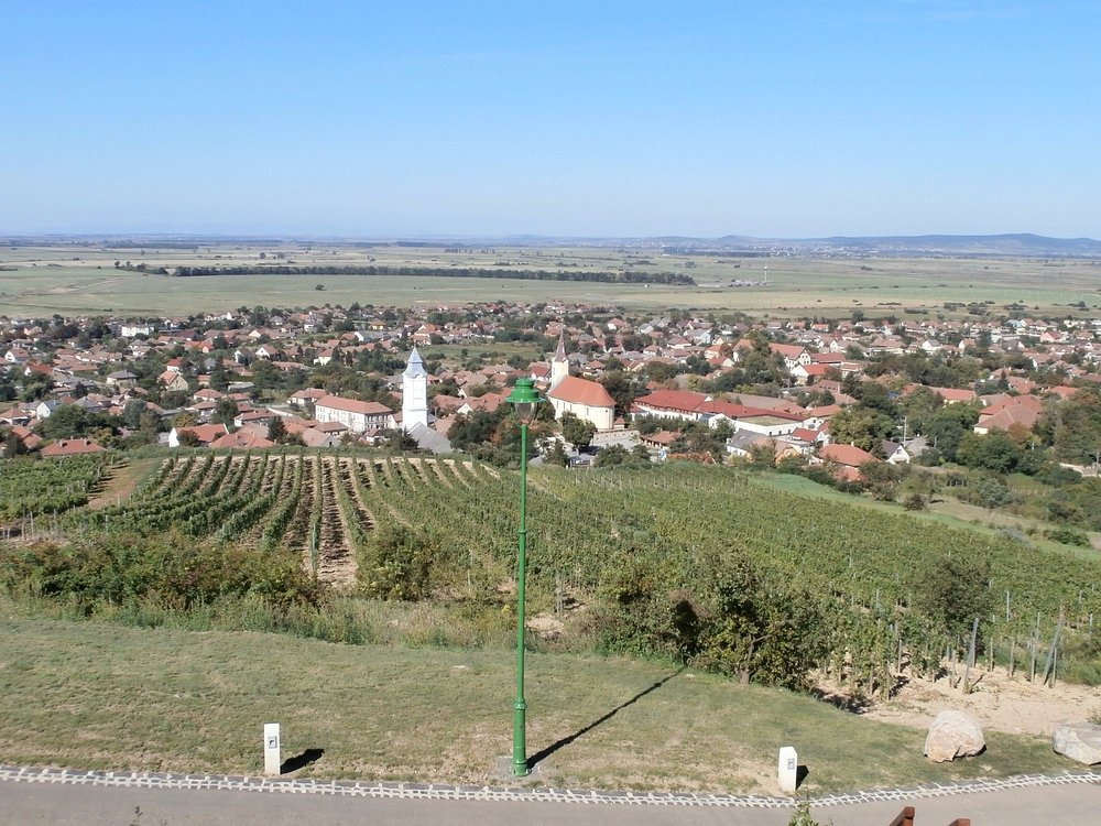 Tokaj Wine Region