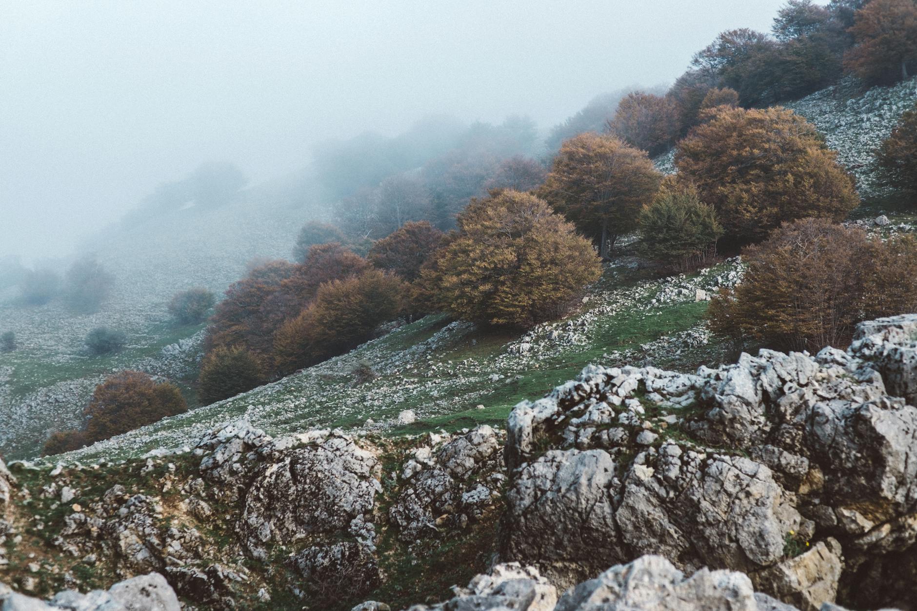 Foggy autumn landscape with vibrant trees in Piano Battaglia, Sicily, perfectly capturing fall travel vibes.