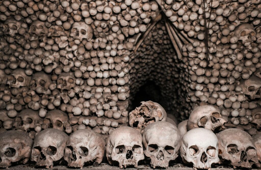 Rows of ancient skulls in a dimly lit catacomb, showcasing eerie historical preservation