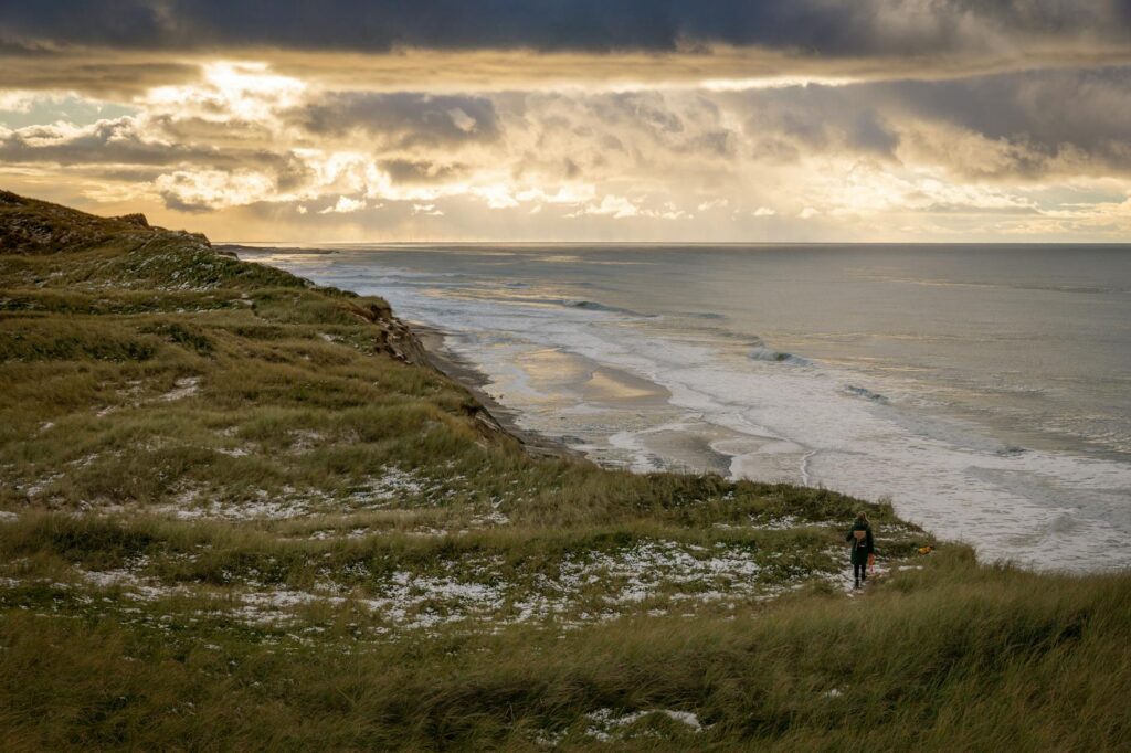 oceanside with grass