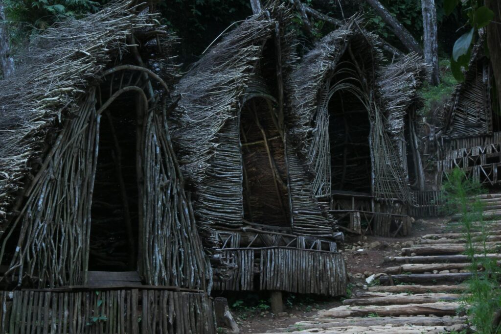 Rustic eco-lodges in the jungle