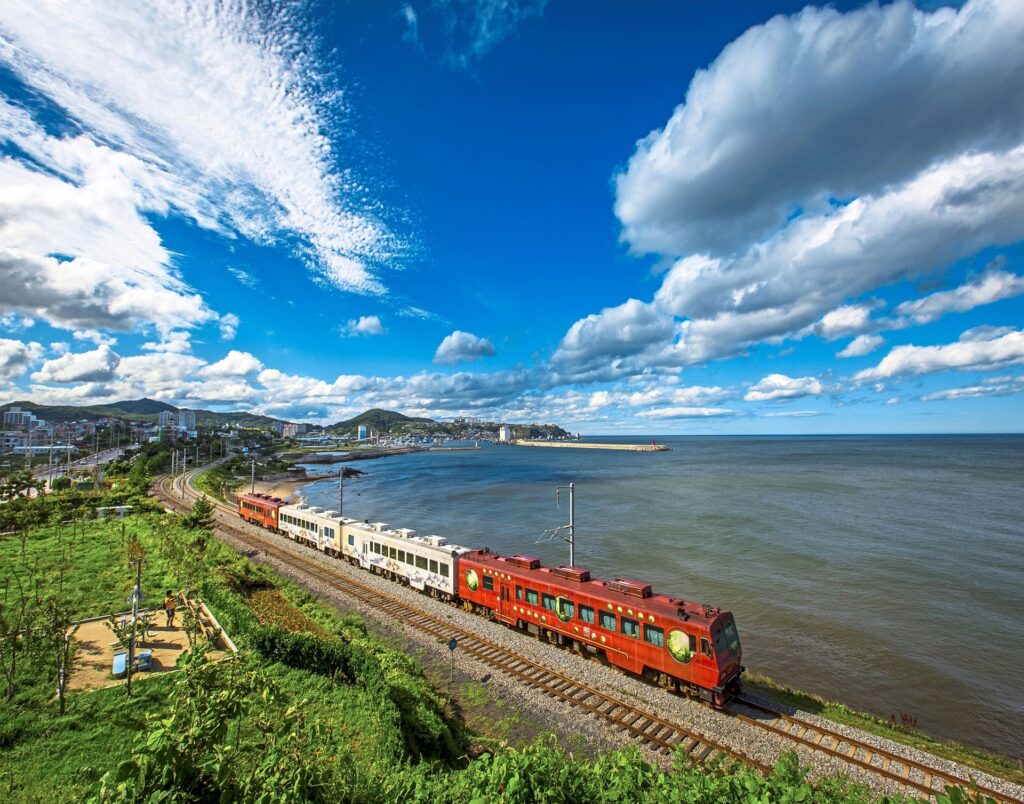 The Sea Train