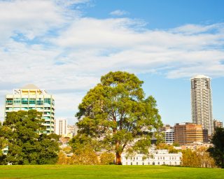 Buildings in Sydney city centre from the Botanic Gardens, Sydney, New South Wales, Australia