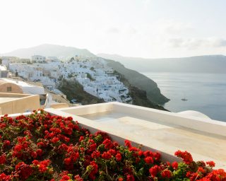 Flower bed, Oia, Santorini, Greece