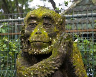 Monkey statue at Ubud Monkey Forest sanctuary at Bali, Indonesia