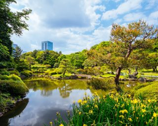 Shinjuku Gyoen National Garden in Tokyo