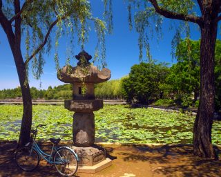 Ueno Park - Tokyo - Japan